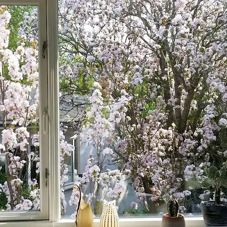 Moderne Villalejlighed Pa 110 Kvm + Stor Terrasse *