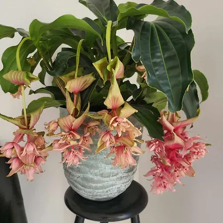 Moderne Villalejlighed Pa 110 Kvm + Stor Terrasse Апартаменты