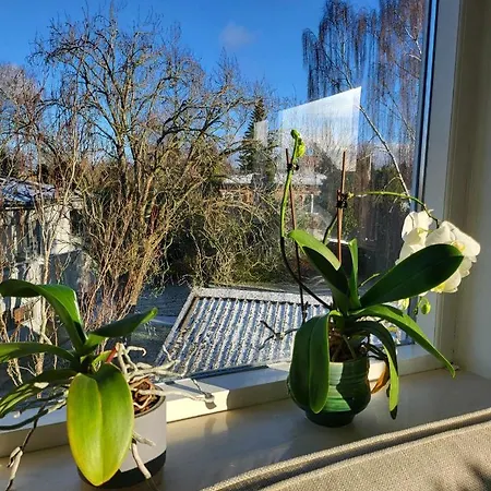 Апартаменты Moderne Villalejlighed Pa 110 Kvm + Stor Terrasse *